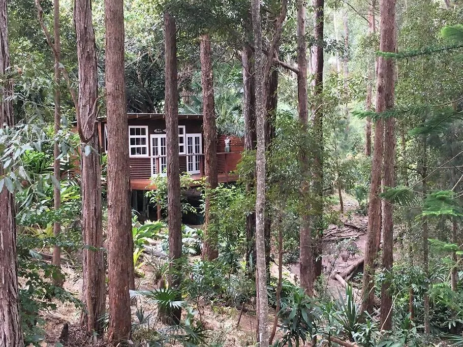 Appartement Sunshine Coast Cosy Cabin - Black Cockatoo Retreat Kiels Mountain