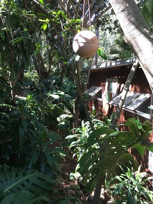 Daire Sunshine Coast Cosy Cabin - Black Cockatoo Retreat Kiels Mountain Avustralya